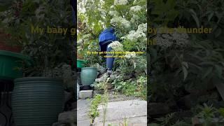 Thunderstorm hurt my Almond tree
