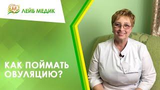  Как поймать овуляцию?