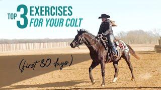 TOP 3 Riding Exercises they need! - FIRST 30 DAYS | Colt starting - Part 4