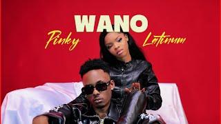 Wano - Pinky X Latinum (Visualizer)