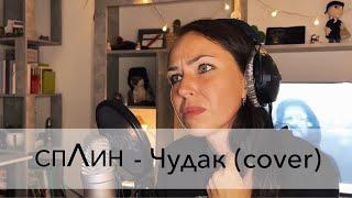 Сплин - Чудак (cover)