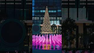 Summer christmas  in Bangkok thailand  #travel #hamzaerabzai #fyp #shorts