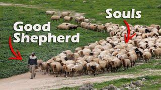 Jesus, The Soul Shepherd