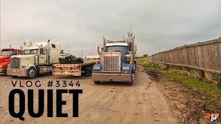 QUIET | My Trucking Life | Vlog 3344