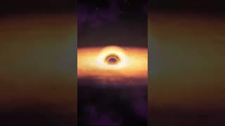 What would happen if you fell into a black hole #astronomy #documentary