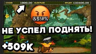 ОБЕЗЬЯНЫ, ЧАСТЬ ВТОРАЯ! +509,900! Как обыграть онлайн казино ВУЛКАН СТАРС на реальные деньги в 2024?