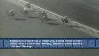 Reel News:  Aqueduct Metro Handicap 1967