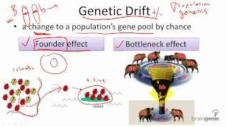 12.4.3 Genetic Drift