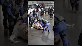 Tactical Team Assists with Massive Animal Treatment