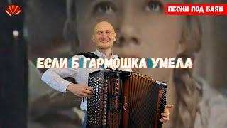 Если б гармошка умела. Баянист Евгений Попов. Песни под баян.