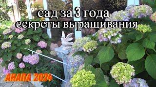 Вечерние встречи. Сад во французском стиле под Анапой