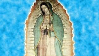 Melodia Celestial para orar,  descubierta en el manto de la Virgen  de Guadalupe