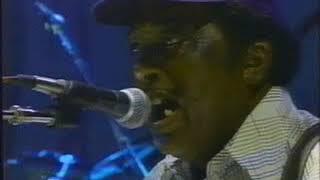 R.L. Burnside - HBO Reverb & video for "Let My Baby Ride"