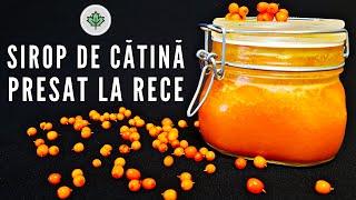 Trebuie sa prepari Si tu SIROP DE CATINA presat la rece - Beneficiile uimitoare ale catinei