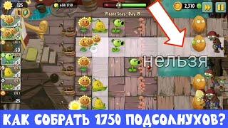 Прохожу 19-й уровень Pirate Seas. Как собрать 1750 подсолнухов в Plants vs Zombies?