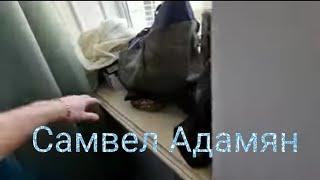 Звезда Самвел Адамян.Обзор и обсудим это!