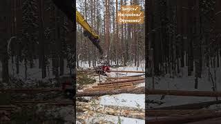 Запуск LGCE E6210 с Logmax 6000V. #лесозаготовка #харвестер #logging