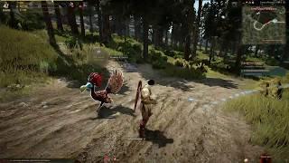 Black Desert агрессивный желтоклюв