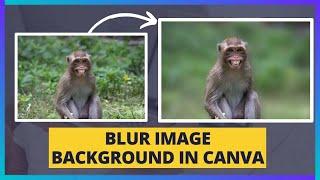 MAGIC TRICK: How to Blur Photo Background in Canva (FREE & EASY!)