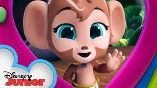 Marty the Monkey | Calling All T.O.T.S. | T.O.T.S. | Disney Junior