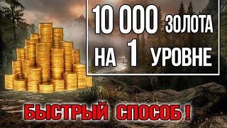 Skyrim - 10000 ЗОЛОТА в начале игры на Легендарной сложности "Секретный тайник Гильдии воров"