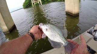 How To Locate Crappie In The Summer