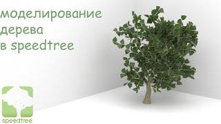 моделирование дерева в speedtree