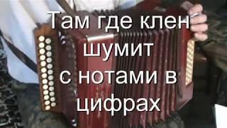 Там где клён шумит с нотами в цифрах