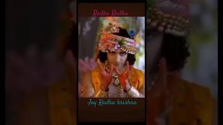 Radha krishna sweet  status #mallikasinghsumedh #radhakrishna #sumedhmallikalove #trending