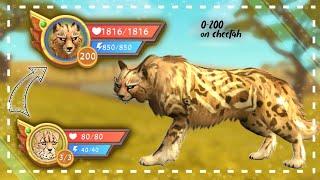 WildCraft: Level 0 to 200 • Cheetah • 