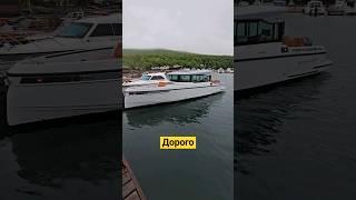 Saxdor 320 GTC: Катер, который перевернёт ваше представление о лодках
