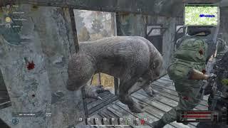 Химера упала к сталкерам в укрытие dayz stalker rp