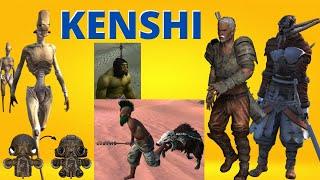 Kenshi 1.05 // Учимся, выживаем и пытаемся пройти // Кенши