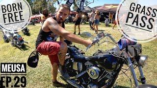 Entrei com a SHOVELHEAD no GRASS PASS do BORN FREE California USA