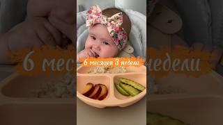 Безопасная подача - правило №1 #blw #самоприкорм #6months #6месяцев #прикорм #babyledweaning