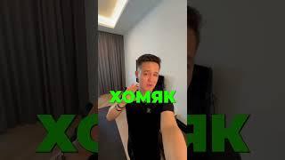 Новый секретный шифр азбуки МОРЗЕ в Hamster Kombat!