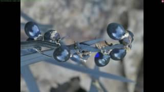 Stacking close ups with Panasonic post focus and Helicon Focus
