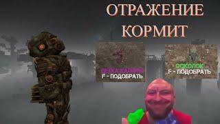 ЖИВУ НА ОТРАЖЕНИИ | РОЗЫГРЫШ В ТГ | STALCRAFT