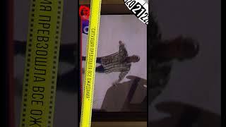 КРИМИНАЛИСТИЧЕСКИЕ киноляпы в фильме "ПЛОХИЕ ПАРНИ" меньше чем за 14 минут ПОЛНЫЙ ВЫПУСК НА КАНАЛЕ