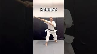 Kobudo vs. MMA 