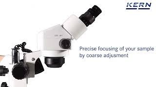 Stereo zoom microscope with or without halogen illumination | OZL 45