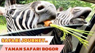 EXPLORE SAFARI JOURNEY 2024 | TAMAN SAFARI TERBARU 2024