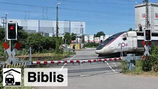 The Riedbahn Before the Line Closure [Frankfurt–Mannheim]