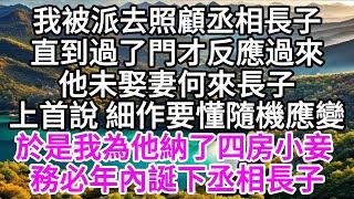 我被派去照顧丞相長子，直到過了門才反應過來，他未曾娶妻，何來長子，上首說細作要懂隨機應變，於是我為他納了四房小妾，務必年內誕下丞相長子 【美好人生】