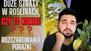 KONIEC Z ROŚLINAMI️Straty, rozczarowania, porażki 