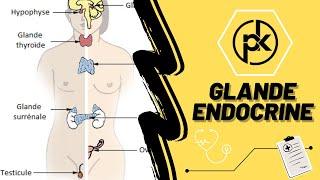  | Glande endocrine |