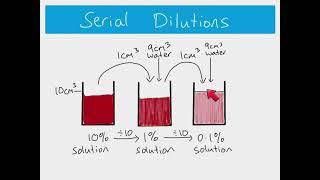 AS Biology - How to calculate serial and simple dilutions