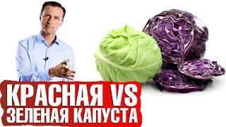 Польза капусты. Красная капуста VS белокочанная - что полезнее?