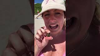 Love Green Gummies for Gut Health & Energy! #greens #guthealth #immunitybooster