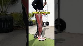 Secret Behind Single Leg Exercises - With MonkeyFeet 